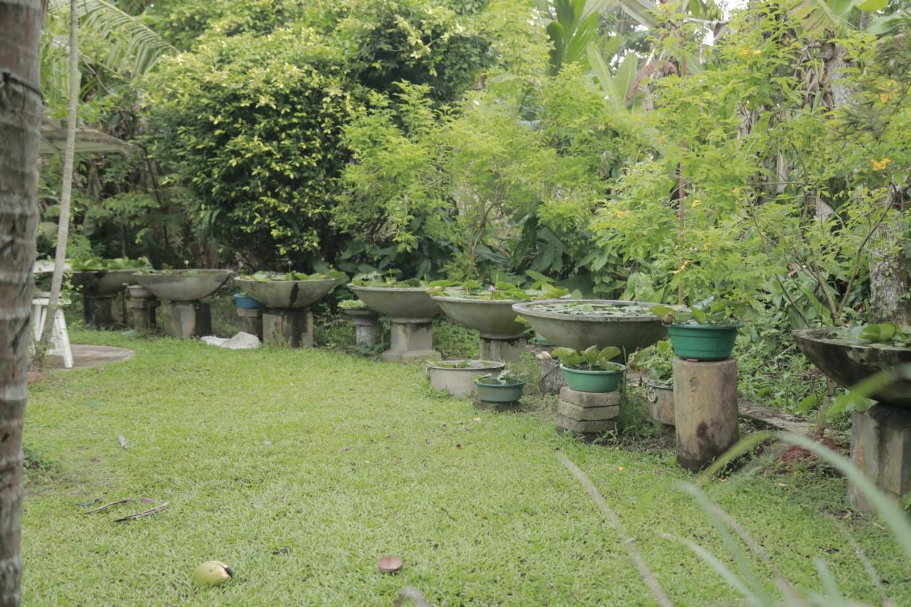 Kirala Villa Mihiripenne Extérieur photo